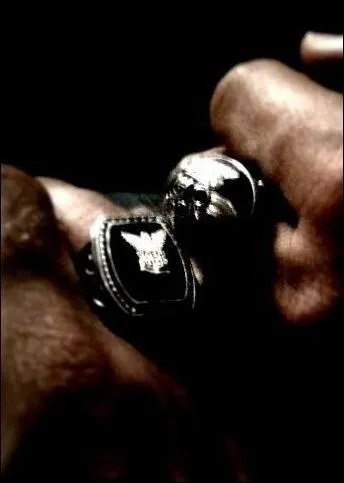 De quoi protge cette chevalire ?