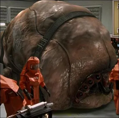 De quel long-mtrage dlirant sort cet norme Alien ?