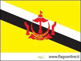 De quel drapeau s'agit-il ?