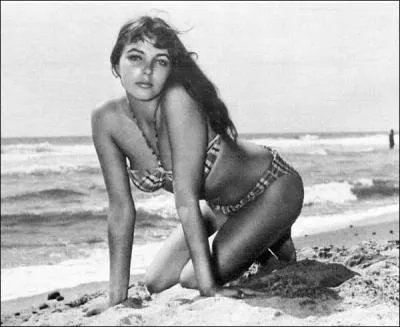 Je suis : ( Dynastie )