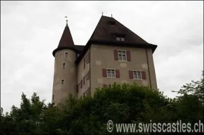 Ce chteau se nomme 'Chteau d'Aarau'. Ce chteau est un chteau de :