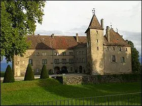 Ce chteau se nomme 'Chteau d'Allaman. Ce chteau est un chteau de :