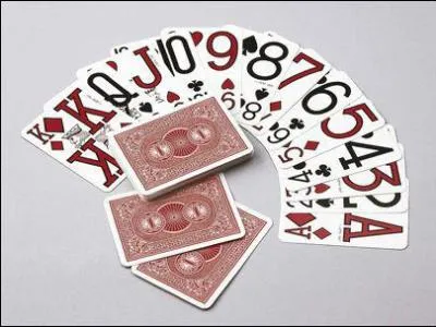 Choisis entre les deux mots celui qui convient.