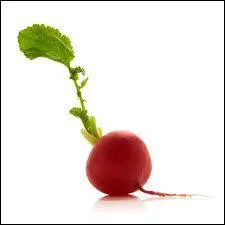 Complte par 'ar' ou 'ra' : UN __DIS