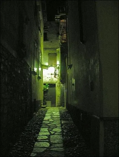 ____ ne prendrez pas ce chemin.