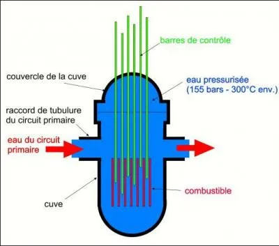 Qu'est-ce qu'une barre neutrophage ?