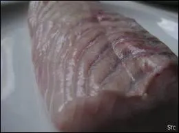 C'est... . . (poisson qui existe en jaune ou en noir)