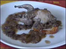 Ceci est un oiseau sur un croton...