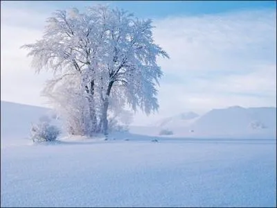 Dans quelques jours, il fera froid.