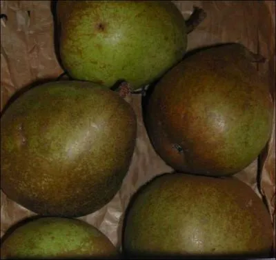 Cette poire a un drle de nom... . .