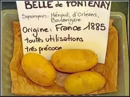 C'est... . . (sur la photo on lit origine France 1885, toutes utilistations trs prcoce)