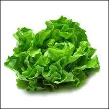 Allez vous manger cette salade ?