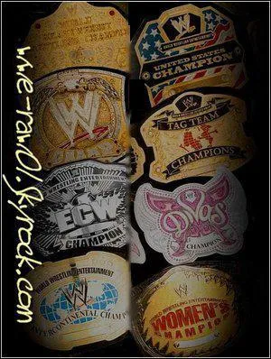 Combien de catcheurs compte la fdration ?