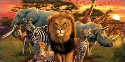 Quel animal africain est surnommé le "cheval du fleuve" ?