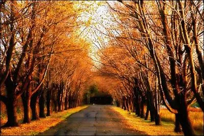 A quelle saison cette photo a-t-elle t prise ?