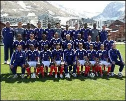 Lors de la Coupe du Monde 2010, qui a inscrit le seul but de l'quipe de France ?