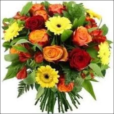 Il n'y a aucune obligation mais pour remercier d´une invitation, je préconise...