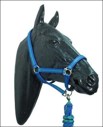 Quel est cet quipement ?