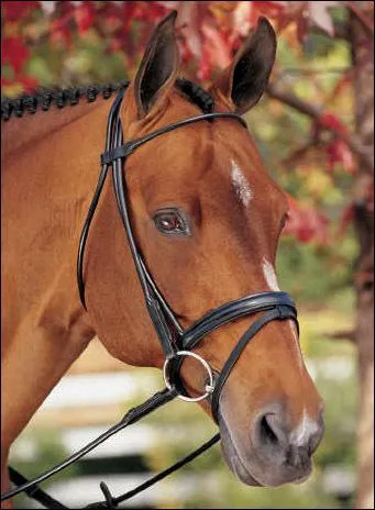 Quel est cet quipement ?