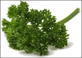 Il est parfois fris, cru il est plein de vitamines C, c 'est :