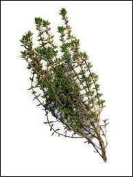 Il est au centre du bouquet garni pour les ragots et les courts-bouillons, c'est :