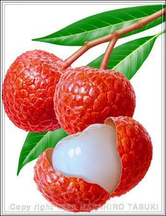 Quels sont les 3 mots originaires du chinois ?