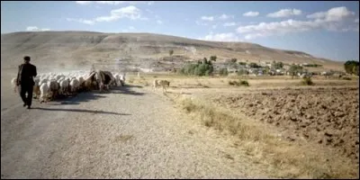 Où se trouve le plateau d'Anatolie ?