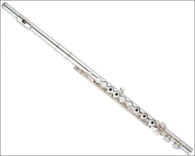 Comment cet instrument s'appelle-t-il ?