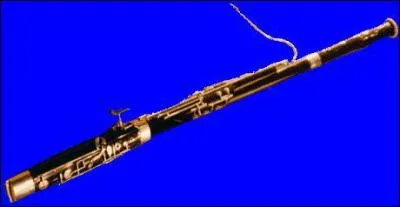 Comment s'appelle cet instrument ?