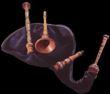 Comment s'appelle cet instrument ?