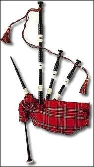 Comment s'appelle cet instrument ?