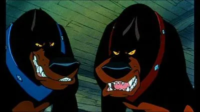 Deux vilains chiens qui en veulent  un chaton ...