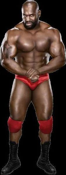 Qui est ce catcheur ?