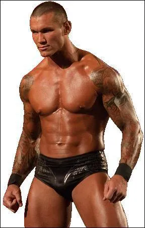 Qui est ce catcheur ?