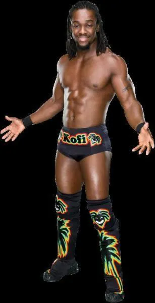 Qui est ce catcheur ?