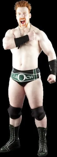 Qui est ce catcheur ?