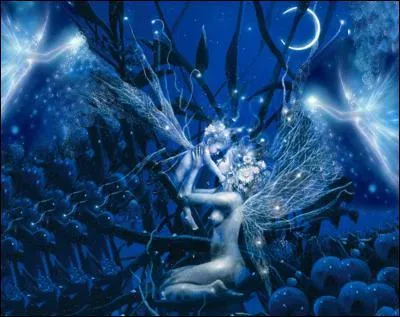 Que voit-on de chaque ct de la toile ?