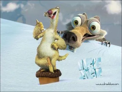 Ces deux personnages proviennent de quel dessin anim ?