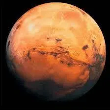 On la surnomme la plante rouge.