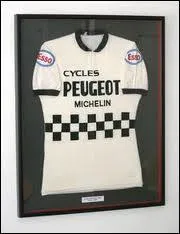 Qui portait cet autre clbre maillot  damiers ?