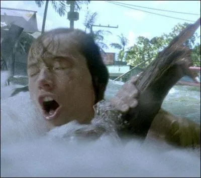 Quel film a t retir des salles nippones cette semaine, suite au terrible tsunami qui a ravag le Japon il y a 10 jours ?