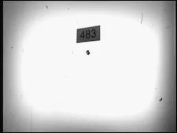 De quelle rencontre parle la chanson ''Zimmer 483'' ?