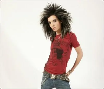 Qui est le chanteur ?