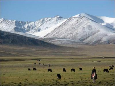 Quel est le statut exact du Tibet ?