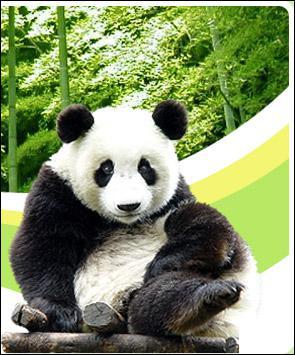 Quelle ville chinoise a pour emblème le panda ?