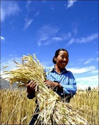 Dans quel secteur la Chine n'est-elle PAS 1er producteur mondial ?