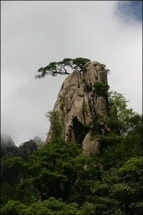 La Chine est un pays montagneux : 45% du territoire sont situs  une altitude de plus de ...