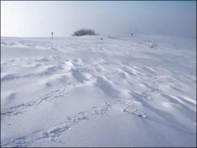 Quelle est cette couleur ?