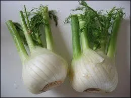 Il y a le 'doux', le 'Florence' et le 'Hatif de Genve', il a un got d'anis trs prononc