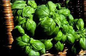 Il donne un got  certaines salades, il vaut mieux l'utiliser seul